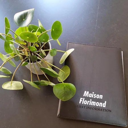 Maison Florimond Semesterbostad *